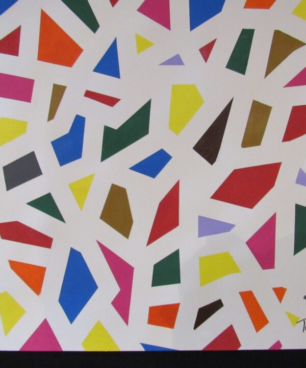 TOM PERGOLA FINE ART COLOR MAZE Acrlic on Paper