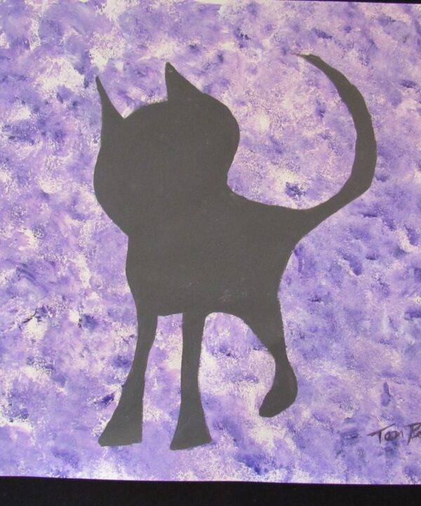 Kitty 12