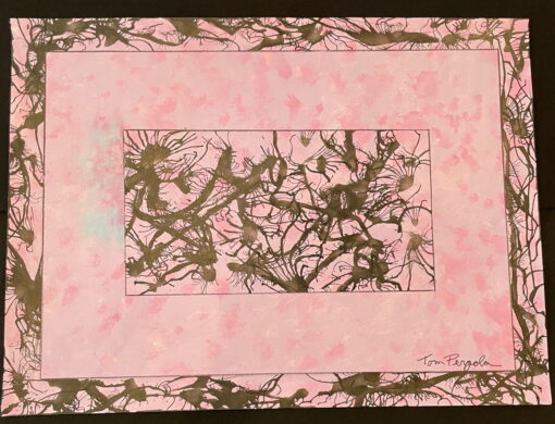 Dreams of Plum