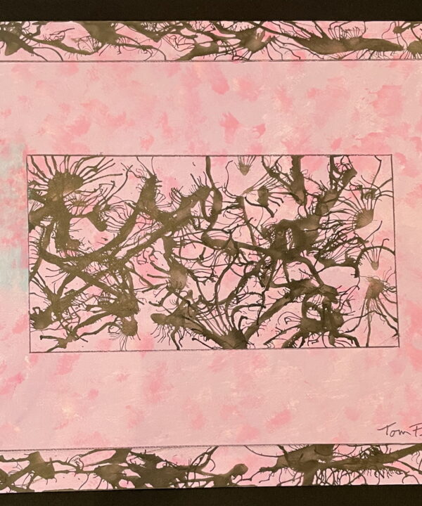 Dreams of Plum
