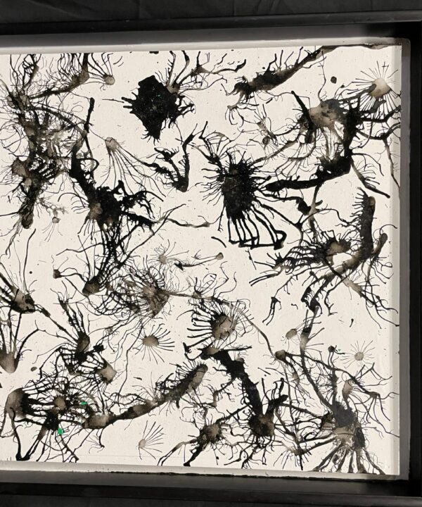 Thoughts Of Black And White Tom Pergola Fine art