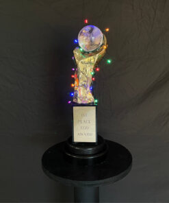 1st place ego award art piece by tom pergola fine art front view