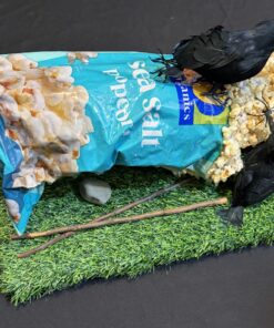 Food Fight by Tom Pergola Fine art