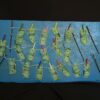 Drying Out Money
