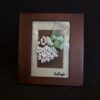 Tic Tacs tom pergola art
