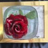Rose In Ice by Tom Pergola Fine Art