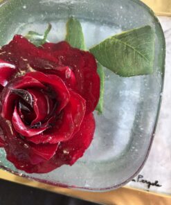 Rose In Ice by Tom Pergola Fine Art