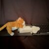Bad Kitty Tom Pergola Fine Art