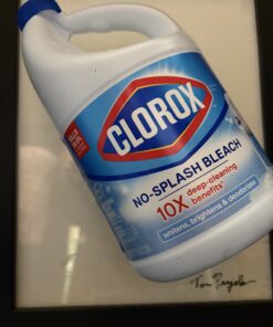 Clorox Tom Pergola Fine Art
