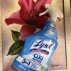 Lysol Tom Pergola Fine Art