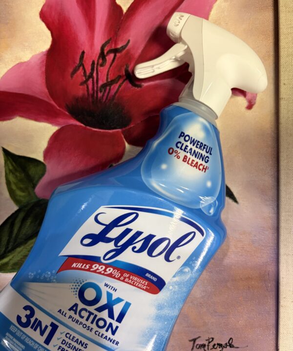 Lysol artwork by Los Angeles pop artist Tom Pergola Fine Art, the King of Pop Art