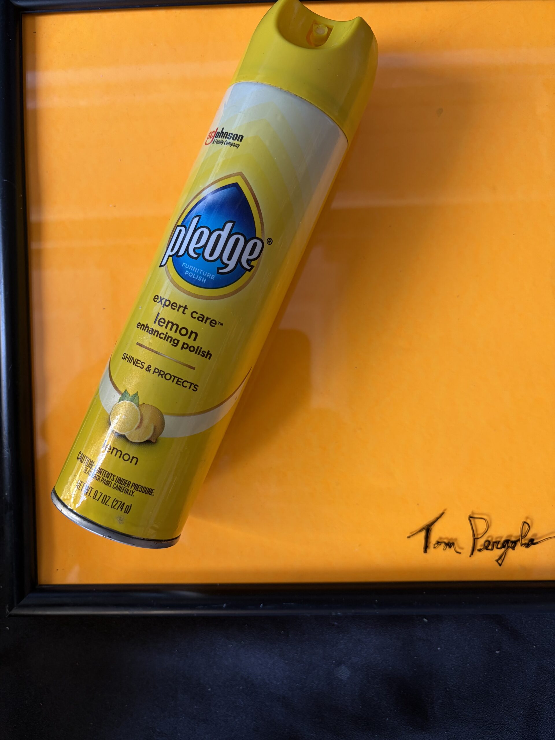 Pledge by Los Angeles pop artist Tom Pergola